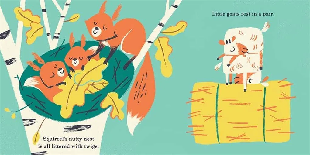 Babies Can Sleep Anywhere - Board Book